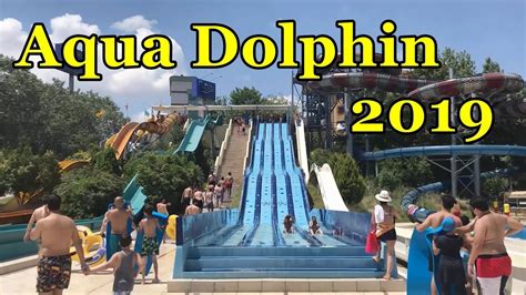 aqua dolphin 2019